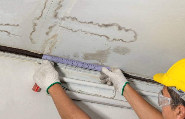 Reliable Structural Drying contractor in Georgetown, IL by Water Damage Irwin